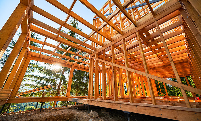 Кейс: строительство каркасных домов